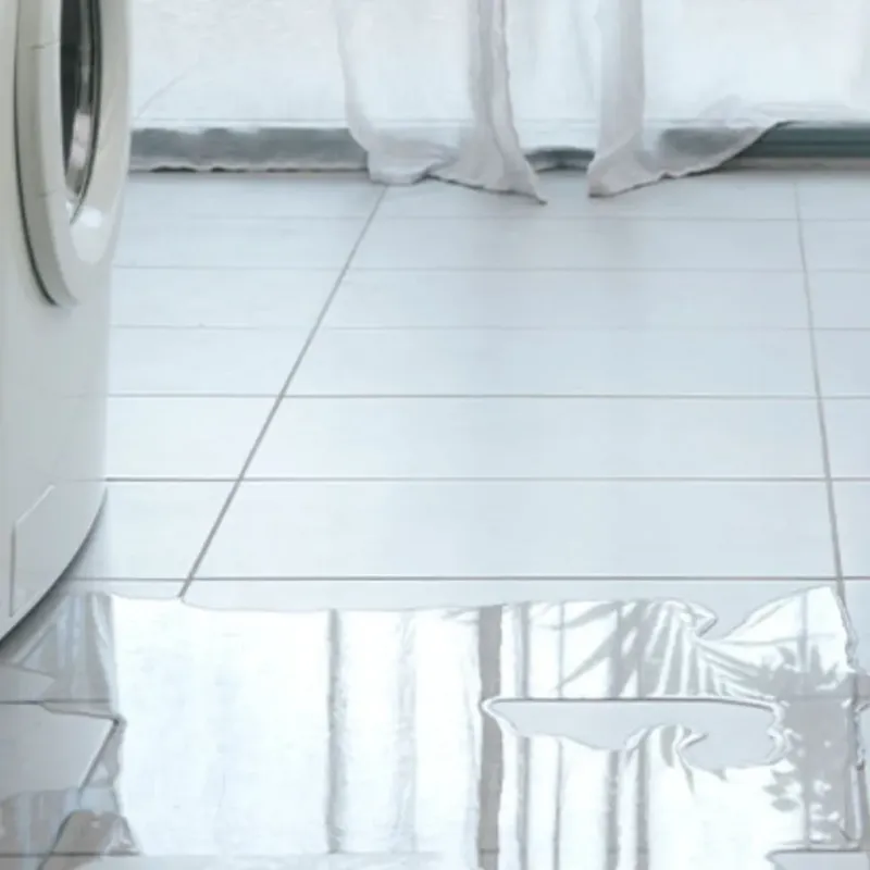 Appliance Leak Cleanup in Laurel, MS
