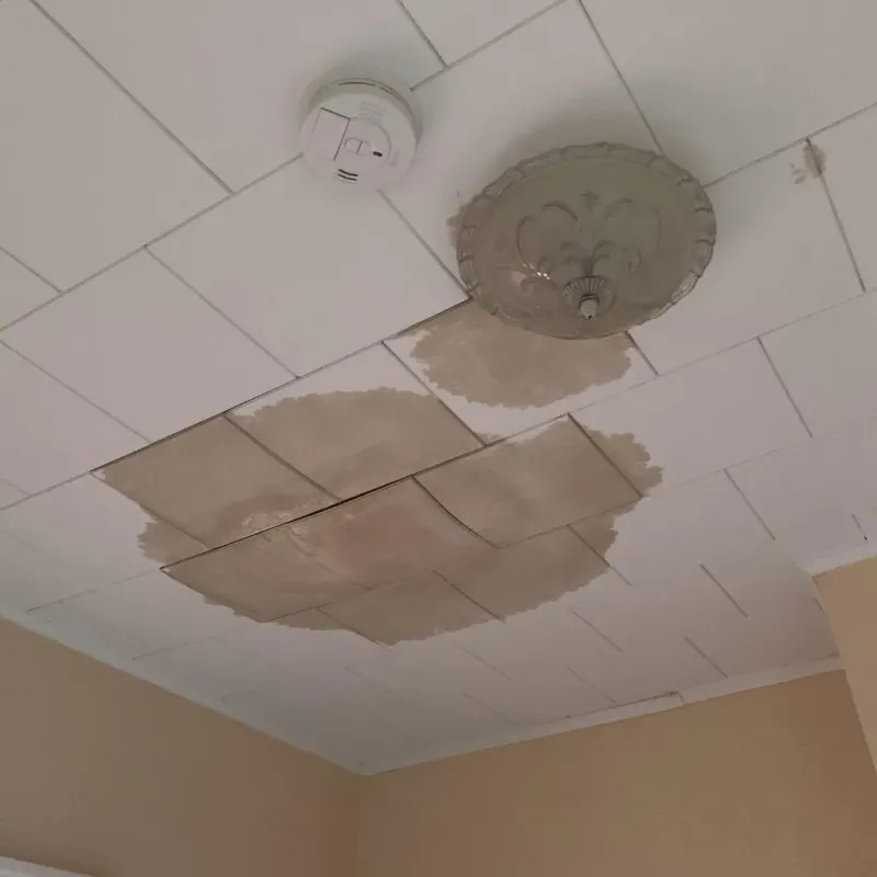 Ceiling Water Damage Repair in Laurel, MS