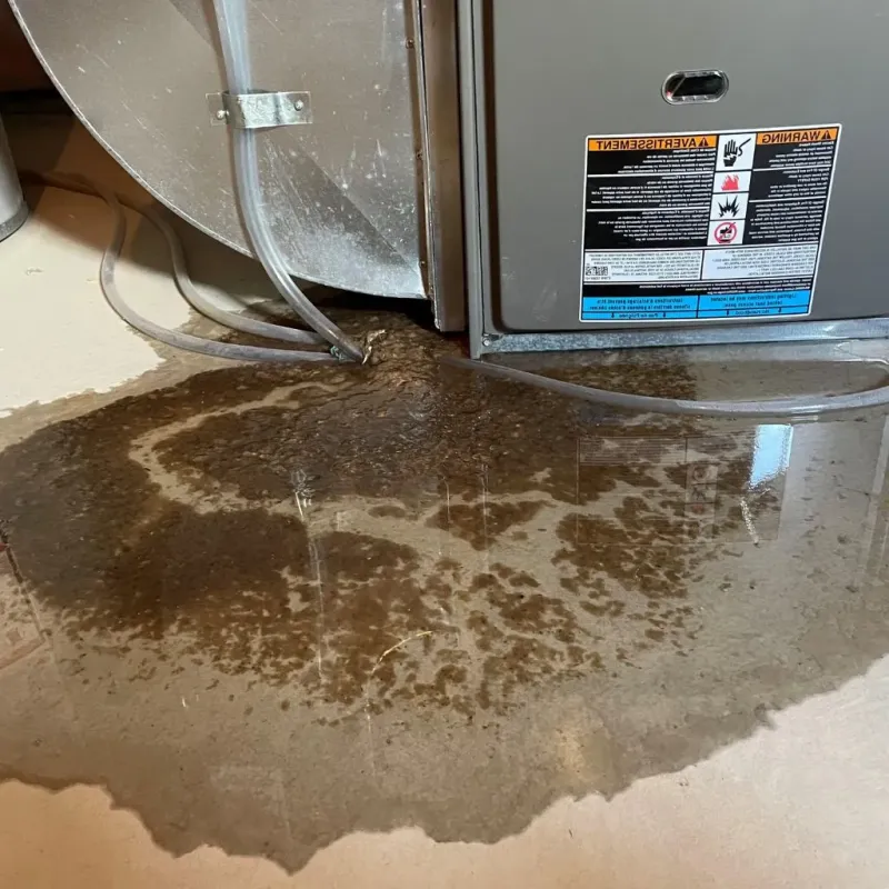 Pipe Burst and Leak Restoration in Laurel, MS