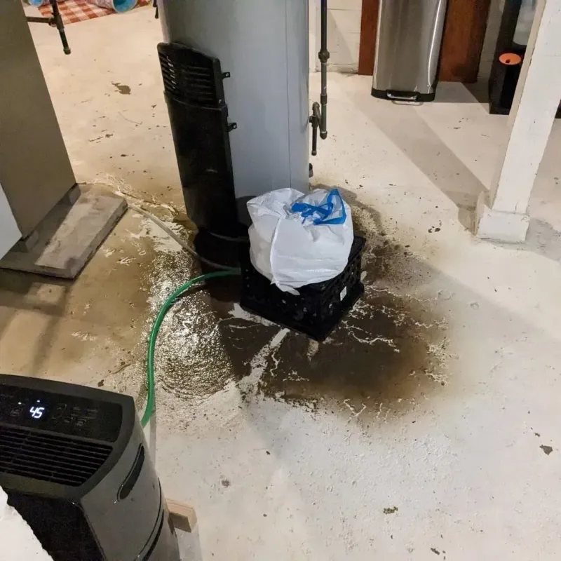 Sewage Backup Cleanup Service in Laurel, MS